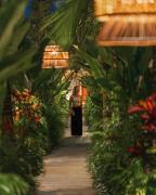 Top Ubud