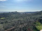 Top Corsanico-Bargecchia