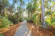 Top Seagrove Beach