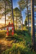 Top Binsar