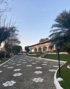 Top Santa Isabel