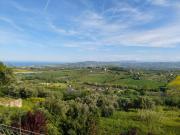 Top Montone