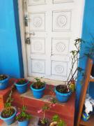Top Coonoor