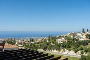 Top Peyia