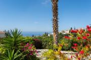 Top Peyia
