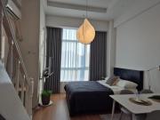 Serenas cozy loft Apartment