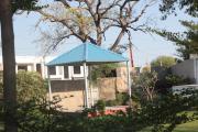 Top Debāri