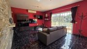 Top Arona