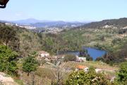 Top Amarante
