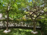 Secret Garden