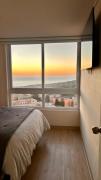 Top Viña del Mar