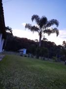 Top Cunha Top Cunha