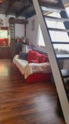 Cabin in the Tigre Delta Nature and fauna