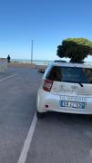 Il QUADRIFOGLIO MARE