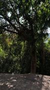 Top Caldas Novas