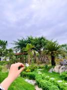 Top Ninh Binh
