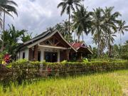 Top Tetebatu