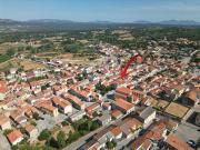 Top Monti