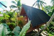 Top Ubud