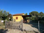 Top Lacona