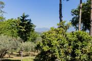 Top Albanella