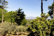Top Albanella