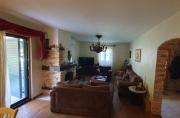 Top Danilovgrad