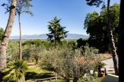 Top Albanella