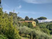 Top Montescudaio