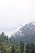 Top Kalgha