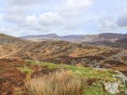 Top Harlech