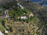 Top Torrox
