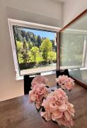 Rina Apartments, Cozy Riverside Apartment in Luče, Savinja Valley