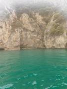 Top Laredo