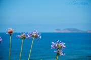 Top Alghero