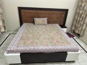 Top Jodhpur