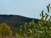 Top Yaremche