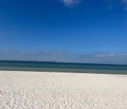 Top Port St. Joe