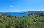 Top Rogač