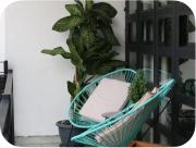 Top Mazatlán