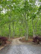 Top Sag Harbor