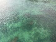 Top Koh Rong