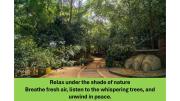 Ceylon Kingsmen Garden - Katunayake Airport Transit Hotels