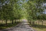 Top Mount Macedon