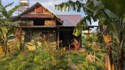 Ivy Coffee Farm - Green Cottage