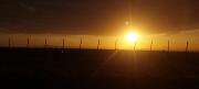 Top Steynsburg