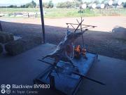 Top Steynsburg