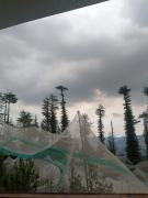 Top Shimla
