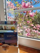 Top Sopot