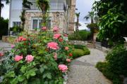 Villa Natalia